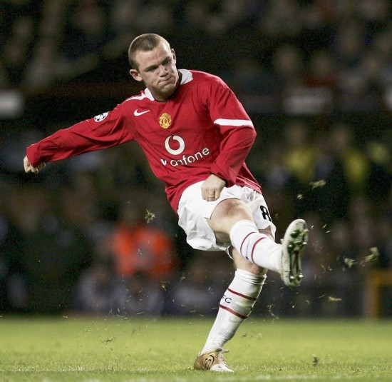 端的重要楔 端的重要楔