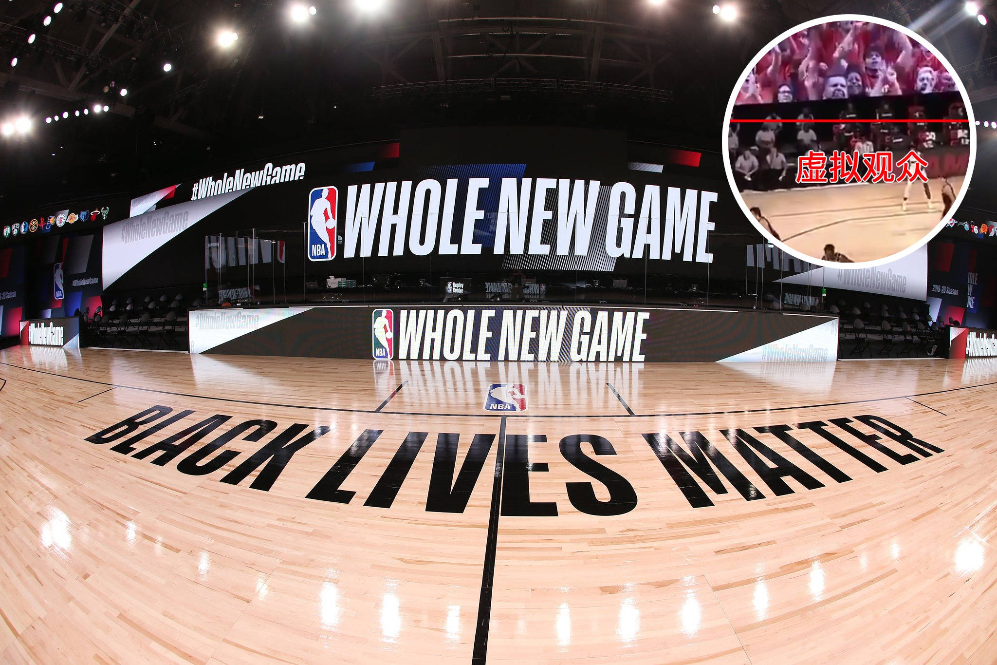 凭借不懈的 凭借不懈的